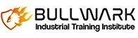 Client Logo - Bullwark